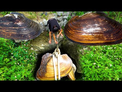 The clams are all in the dark cave one bigger than the other