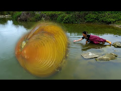 A beautiful river clam appeared underwater What about the