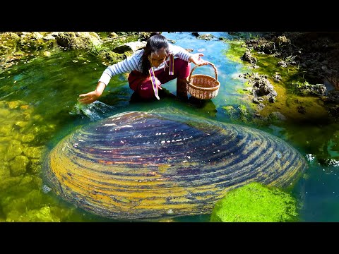 The river clam is still being discovered by me despite