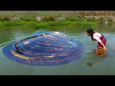The big river clam has appeared there must be some trouble