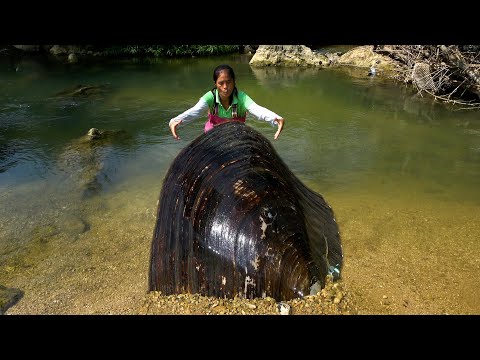 A large pearl mussel was found in the mud and sand The