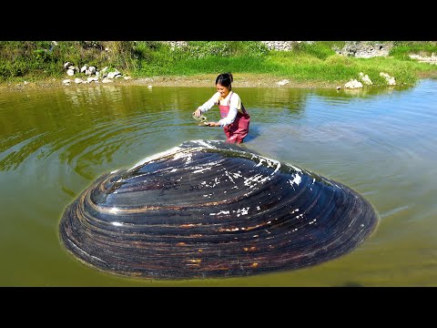 A black river clam appeared in the river revealing pearls
