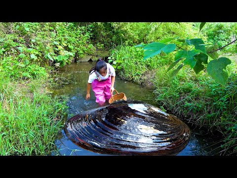 A surprising scene was discovered in the belly of the river