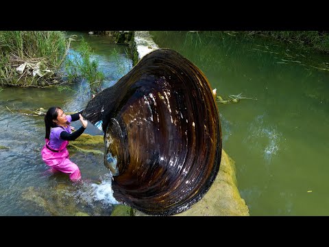 The clam is too big and the pearls in its belly also carry