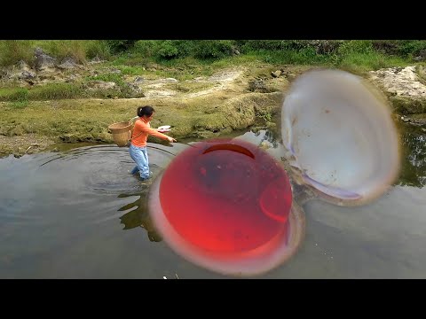 Such a large pearl is estimated to weigh a few pounds it s