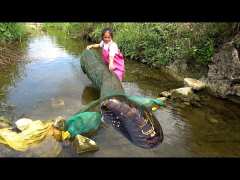 Catching another big river clam with plenty of pearls