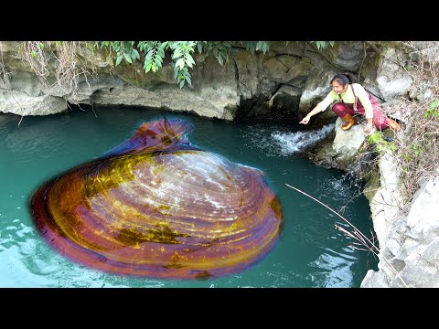 Today I discovered a large river clam with countless pearls