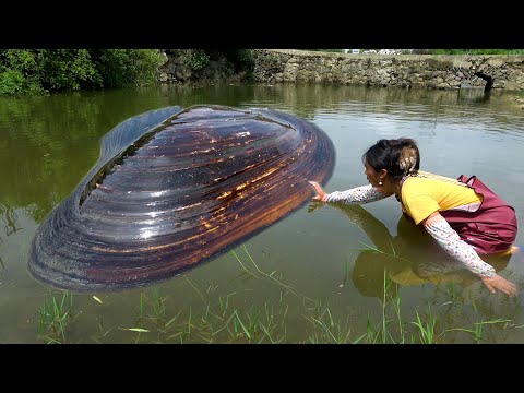 There are many pearls in the big bellied river clams and
