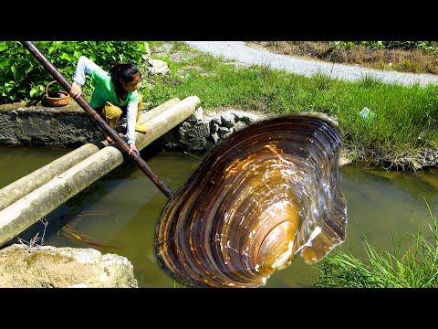 I don t know where I rushed down a river clam from but when