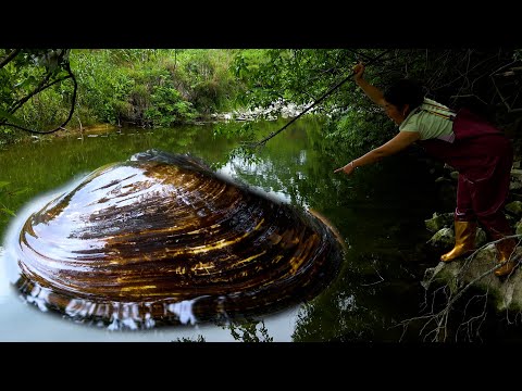 The clam came out at this time but unexpectedly was