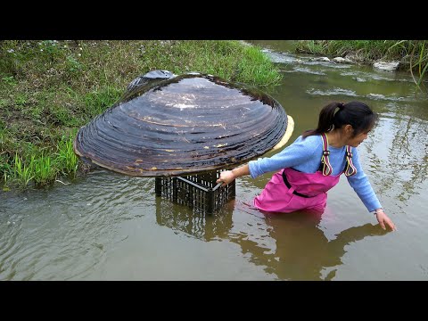 The beautiful woman dragged out a big river clam from the