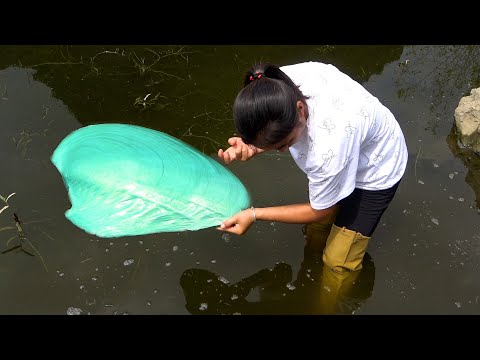 There is a clattering sound inside the clam opening