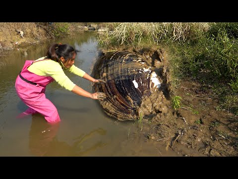 There was a sound coming from the mud it turned out to be