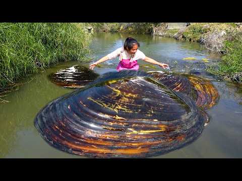 A pile of pearl oysters gathered in the river making me