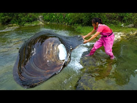 Today we encountered a huge river clam again and the pearls
