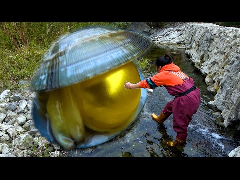 There is a big pearl in the clam it s really refreshing