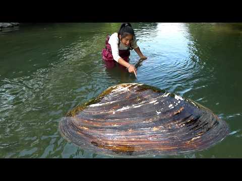I always encounter big river clams because there are too