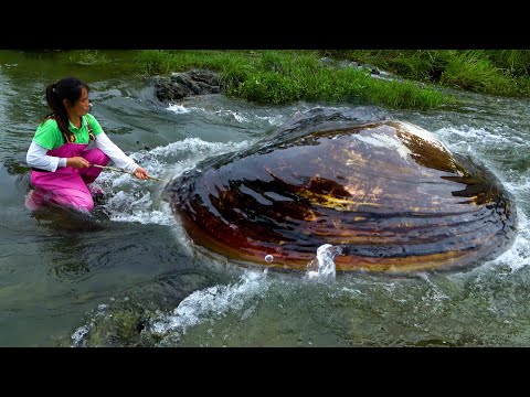 The river clam has been washed in the waves for many years