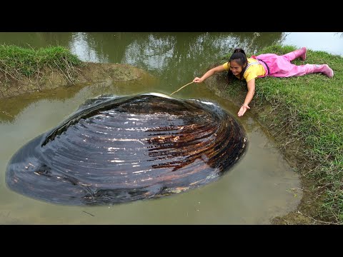 There is a big river clam in the small pond and the next