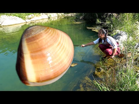 Today I found a beautiful pearl clam and when I opened it