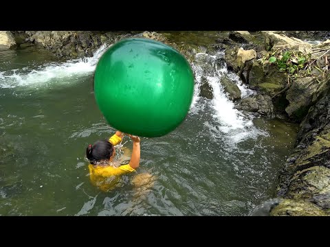 Fishing for pearl clams in the water the green apple like