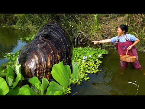The river clam is really good at hiding It turns out to be