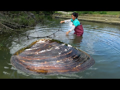 Seeing a huge pearl clam beauty rushing into the water