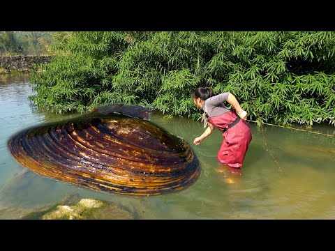 This is like a pearl kingdom with oversized pearl clams