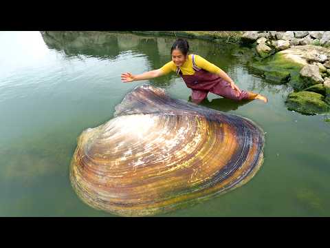 The river clam has been discovered revealing colorful pearls
