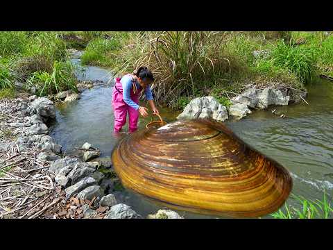 Clams blocked the stream making it easy to obtain a large