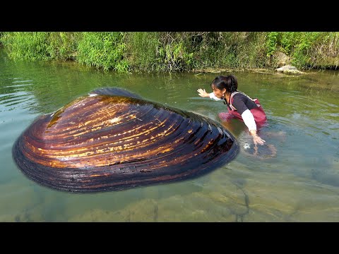 I saw the river clam in the water Its body shape must be