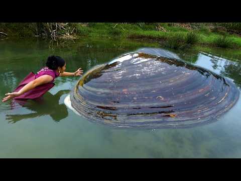 Challenge the big river clam again take out many pearls