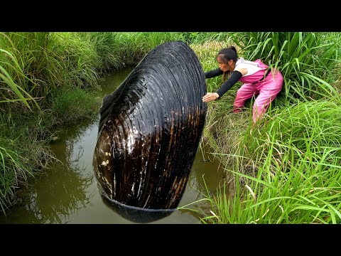 The beauty discovered a small pond with a large pearl clam