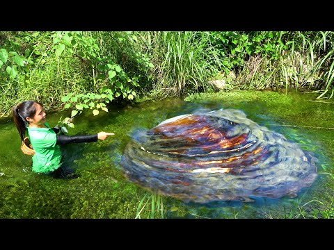 The river clams grown in an elegant environment are