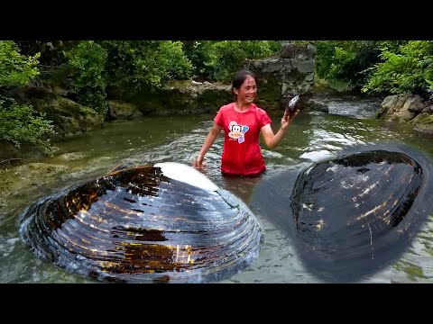 Clams have been recuperating for many years and their