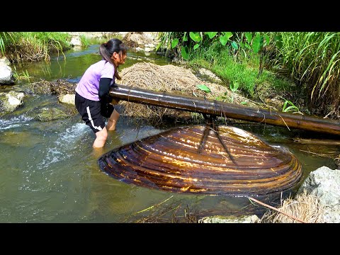 The river clam was pressed up by wood and when opened there
