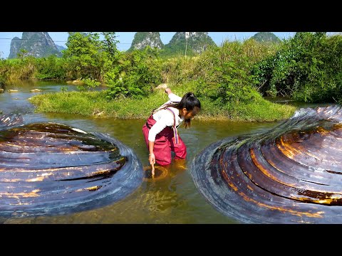 The pearl clams in the river are too big and the pearls are