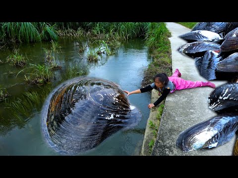 Below are all river clams and today we got the most pearls