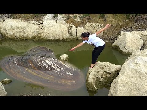 The discovery of a large pearl clam in the river made the