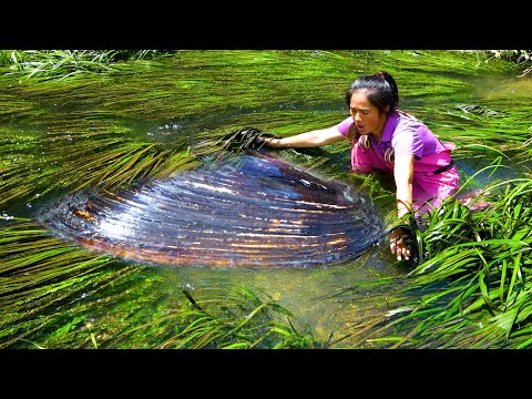 There are the most river clams here and every time they