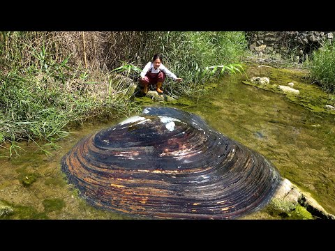 I went out early today and really found the big river clam