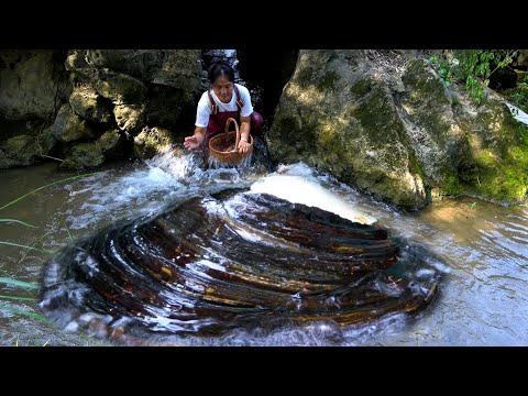 Strive to extract 8 pounds of pearls from the river clam as