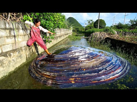 The pearl clam that just came out of the underground river