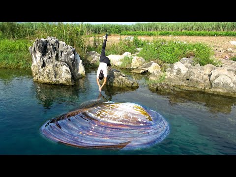 Beautiful woman has great water skills She dives underwater