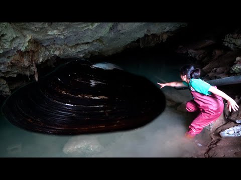 I don t know how many years this clam has been in the cave