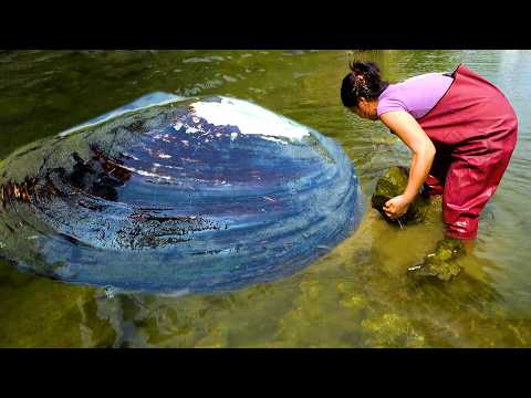Opening the stone you can see river clams It s so fun