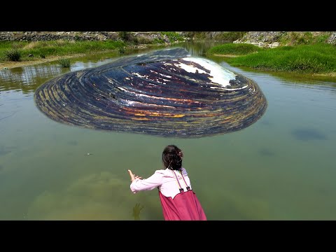 You can see the river from afar clam Such a big clam must