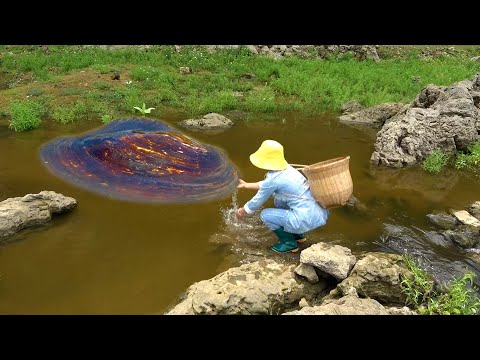 The densest place for clams is where you can easily catch