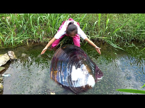 Discovering a large pearl clam in the water coral the