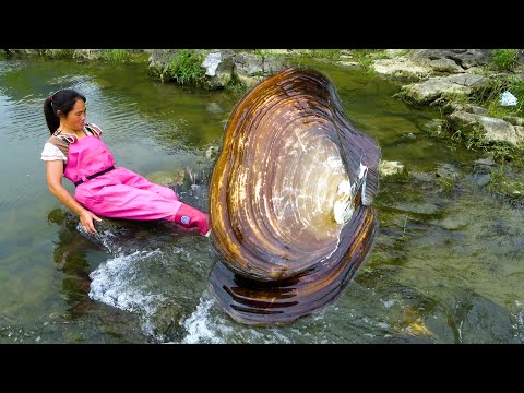 Two large river clams were found in the water and the